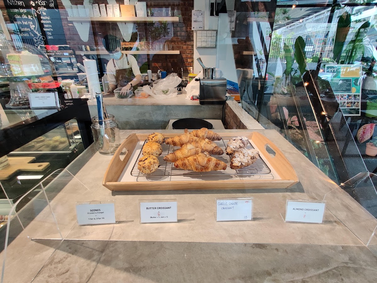 The Well Gallery Cafe - 5