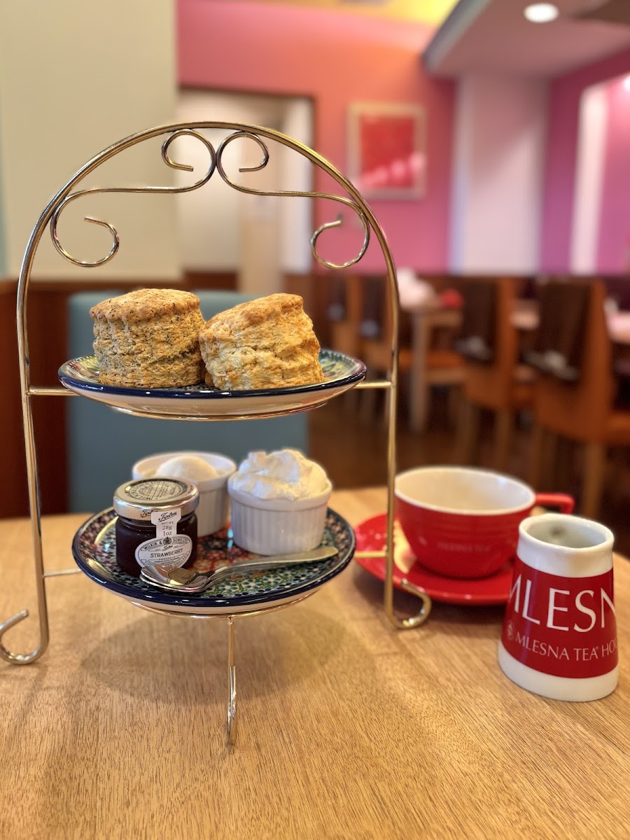 The tea SUPPORTED BY MLESNA - 4