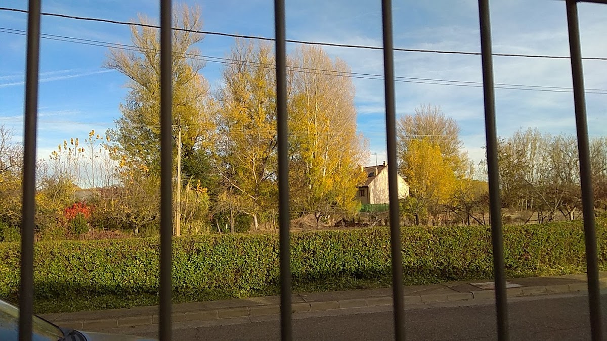 Casa Cultura de Vilecha - 2