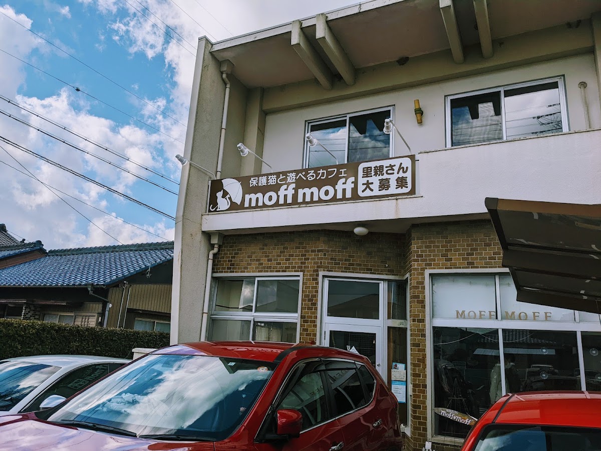 Cat Cafe moff moff