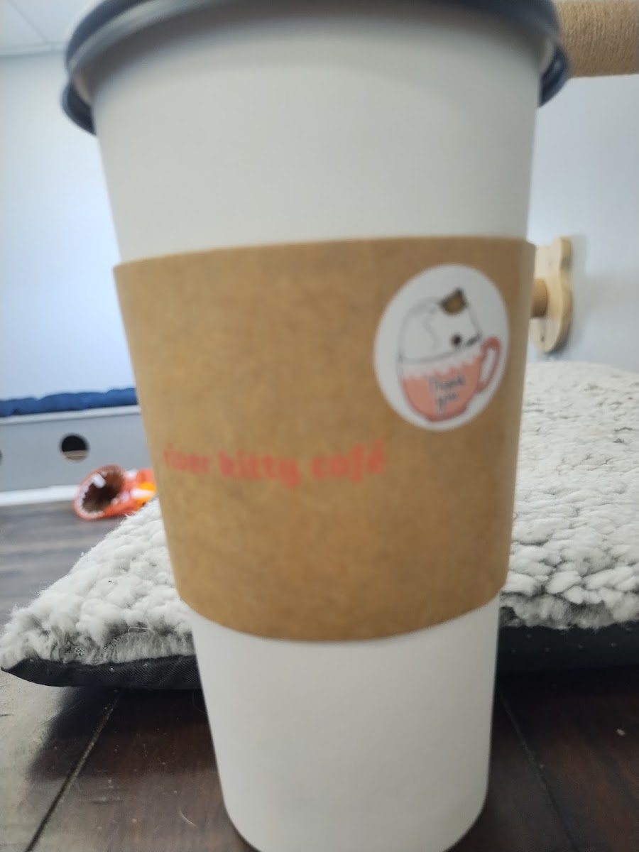 River Kitty Cafe - 5