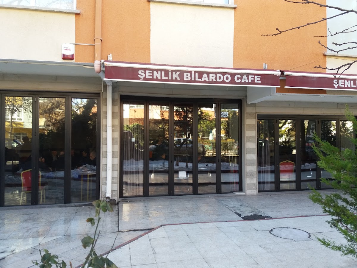 Şenlik Bilardo Cafe