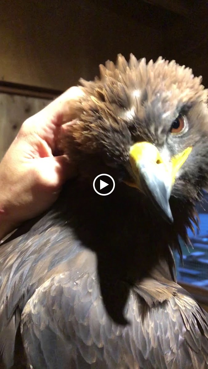 Fukaya Kacho Cafe - 8