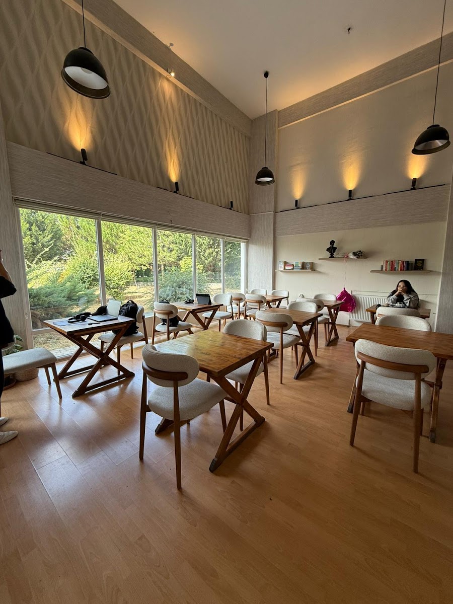 Stupa Kafe Kütüphane