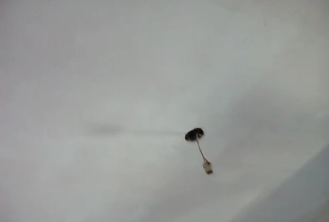 Café Flor da Chapada