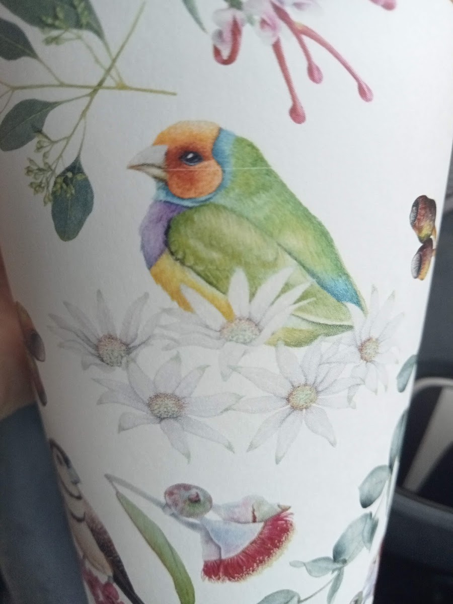 Stockton Bite Cafe - 7