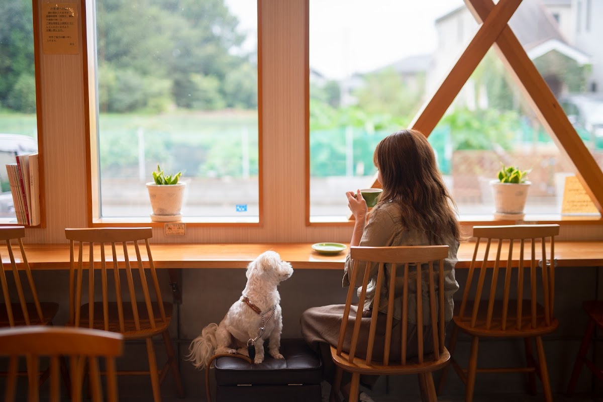 コーヒーエイト・ウェロニカ (Coffee-ate Veronica)