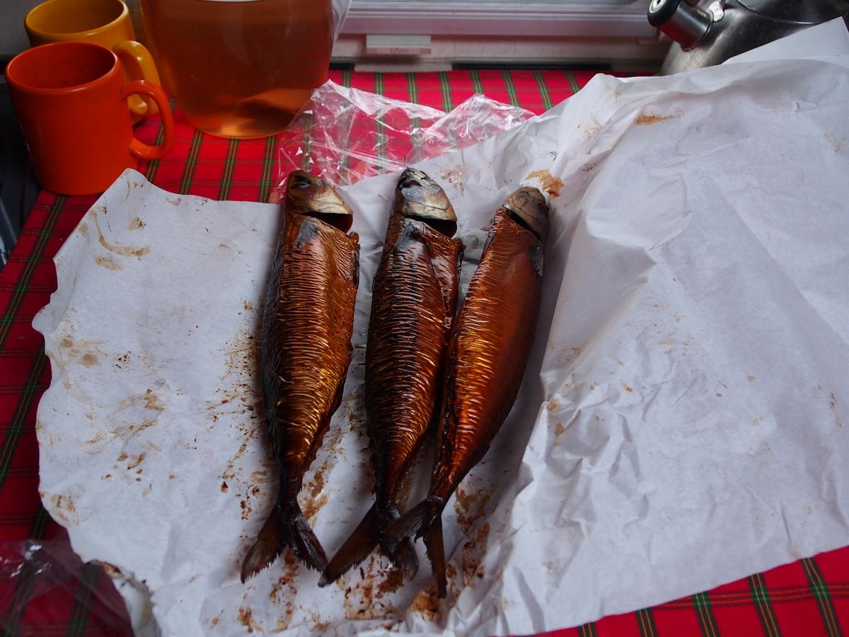 Café Terras Fort-Zuid - 6