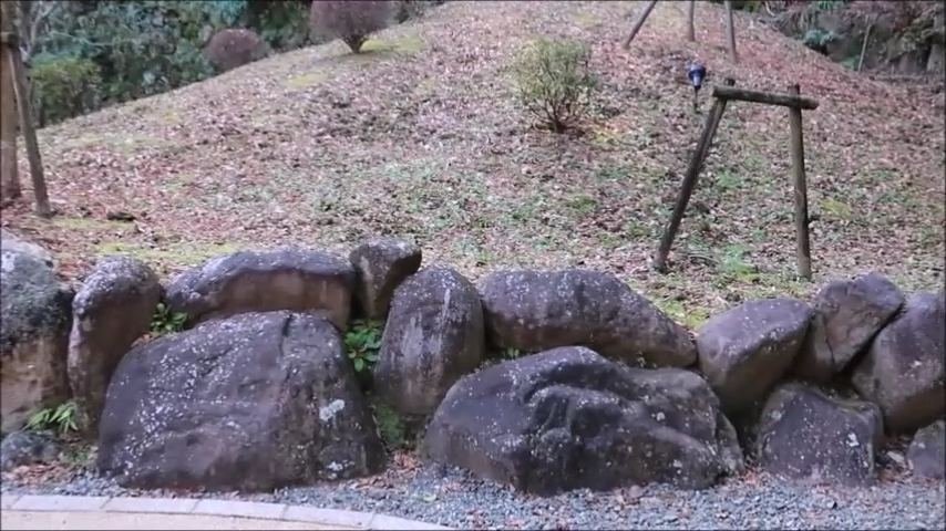 MUSEUM CAFE and garden - 2