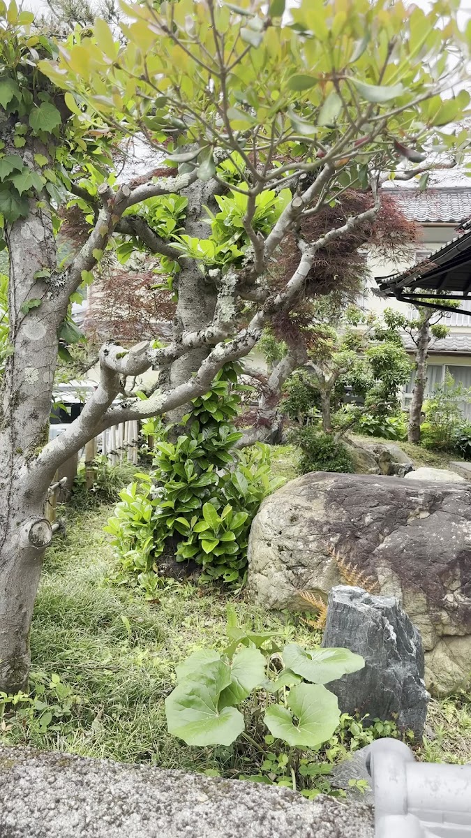 Beans cafe.miyama - 2