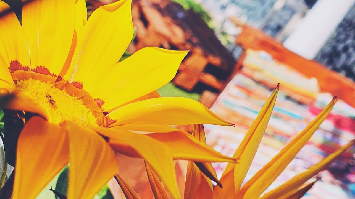 Kafeneio To Tahidromeio - 3