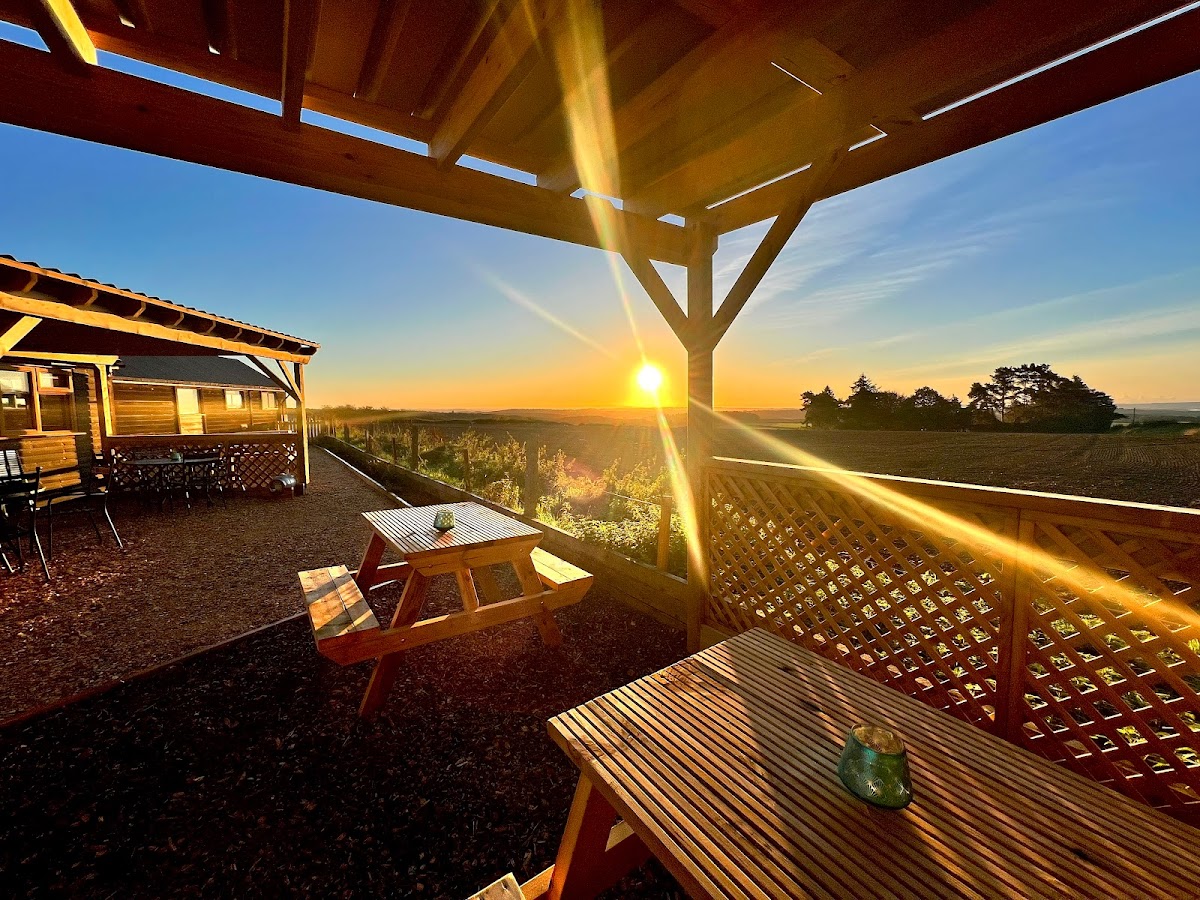 The View Coffee Shop Milton Abbas Dorset - 3