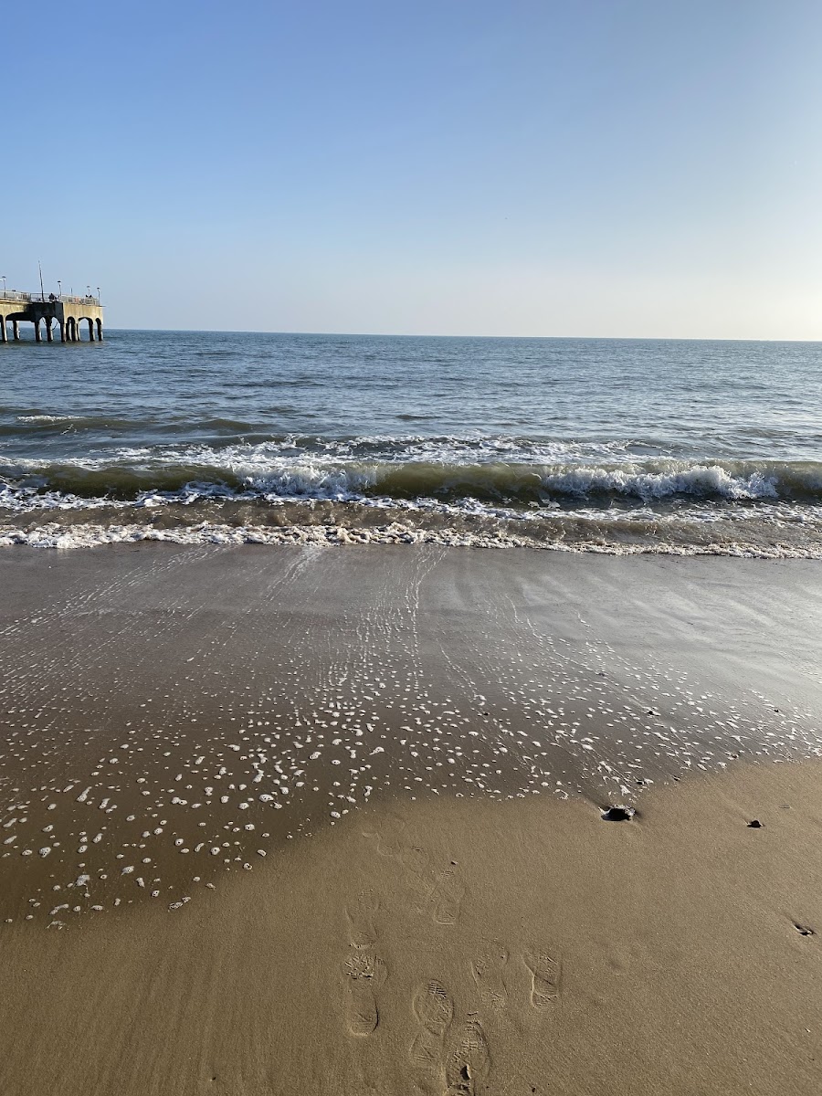 The Well Coffee Lounge - 4