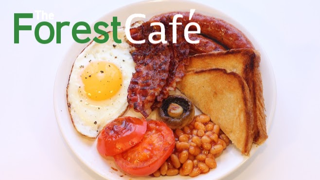 The Forest Cafe - 2