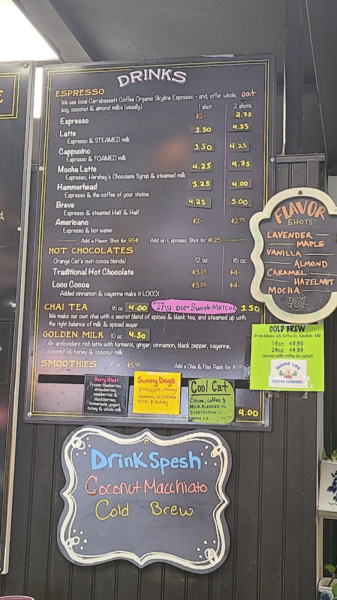 Orange Cat Cafe - 3