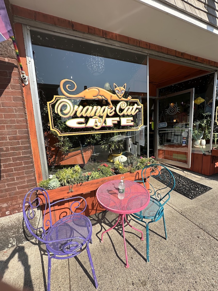 Orange Cat Cafe - 4