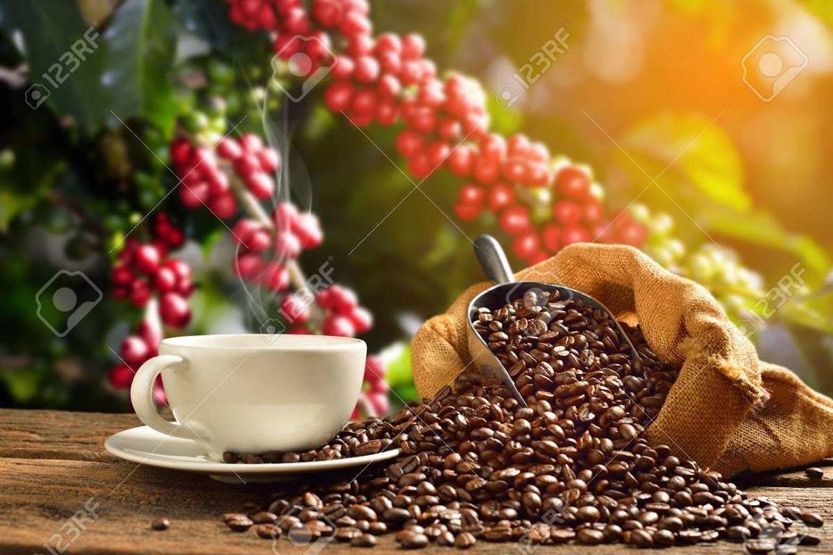 CAFFE' TAMBORRA SRLS - 5