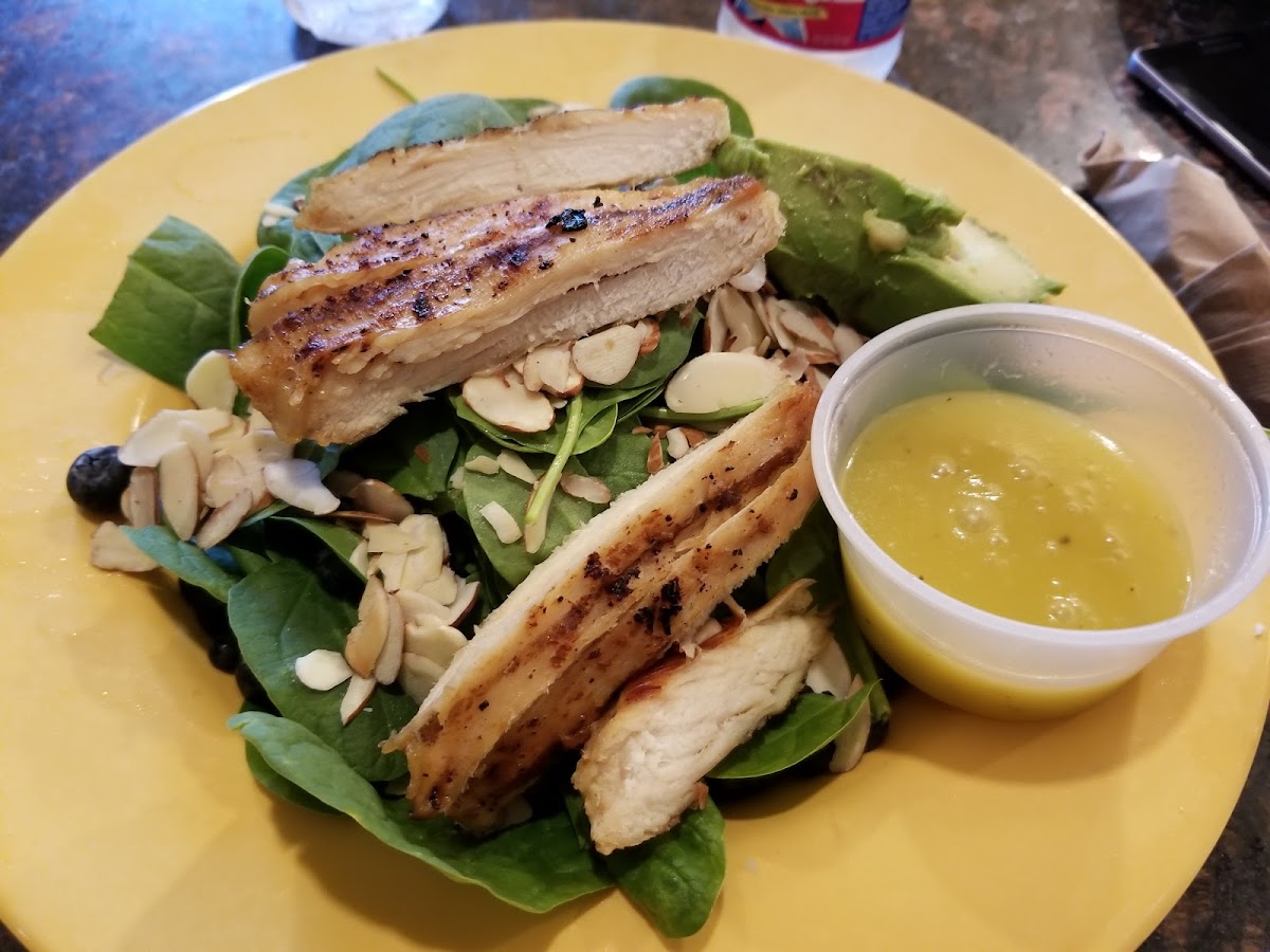 Lady Bird Lane Cafe - 8
