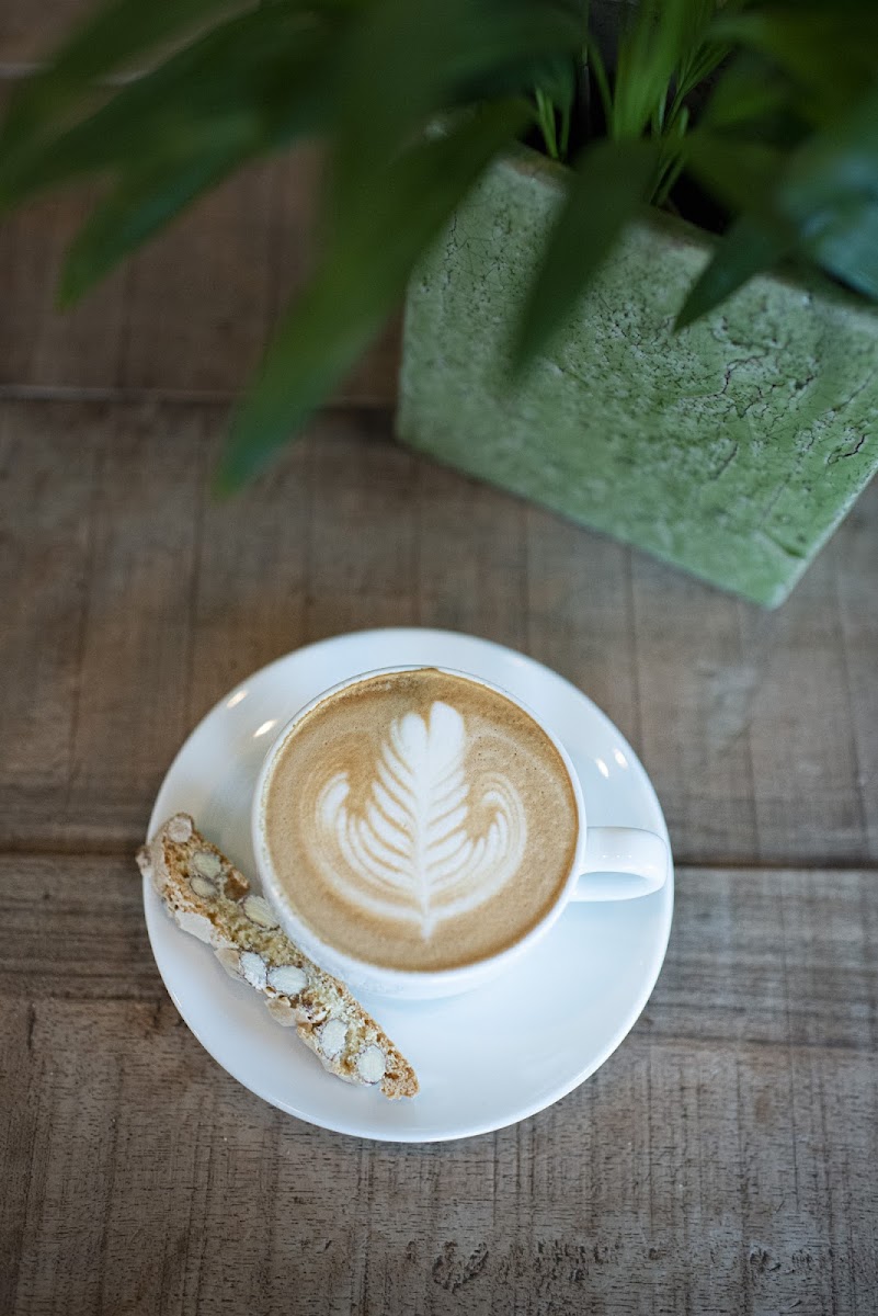 Café Tacuba Eichwald - 5