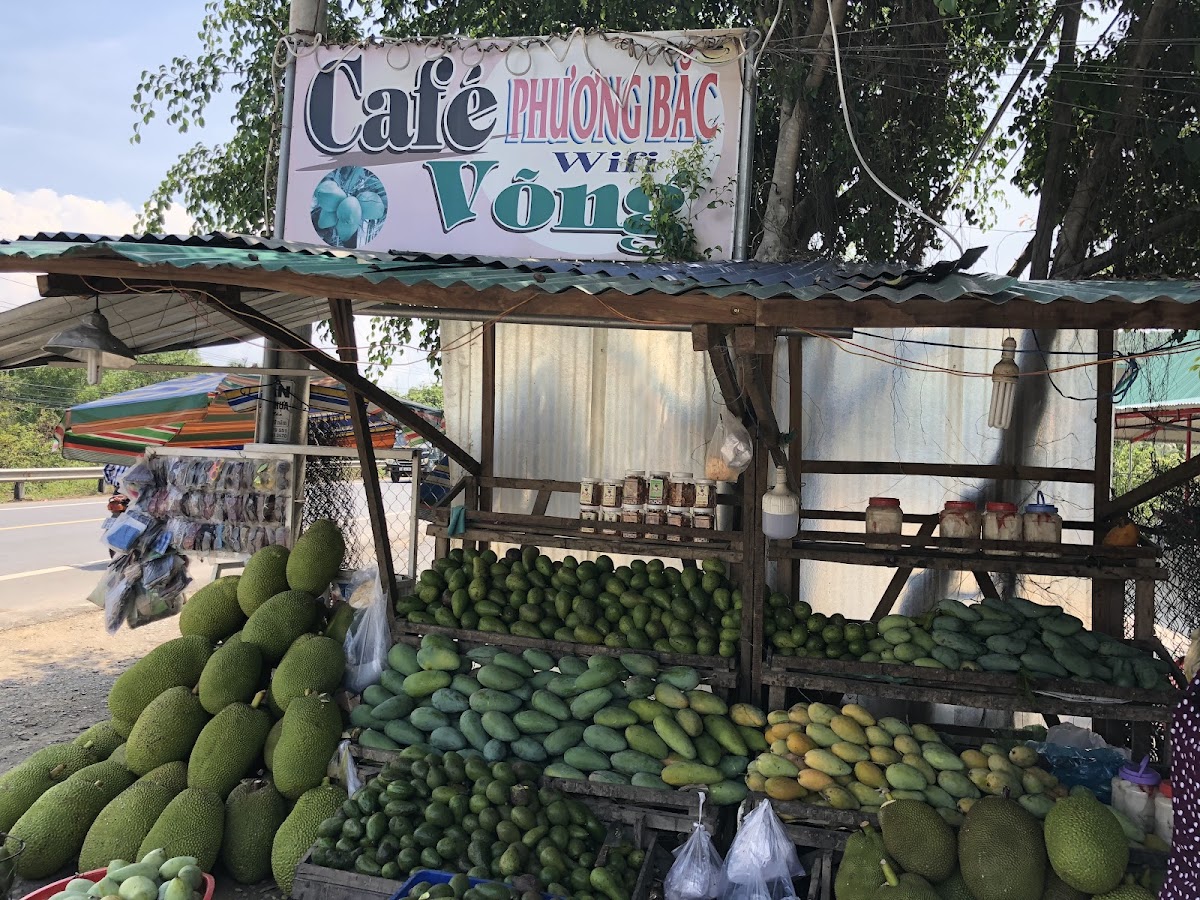 Cafe Võng Phương Bắc