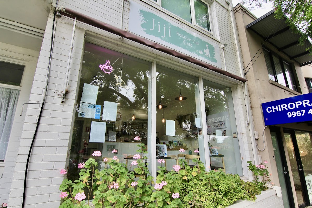 Jiji Rescue Cat Cafe