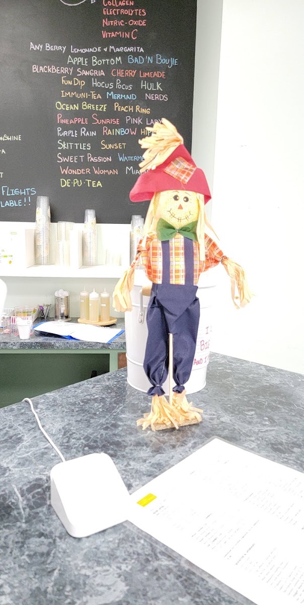 Sunshine Nutrition-shakes/smoothies/energy tea - 2