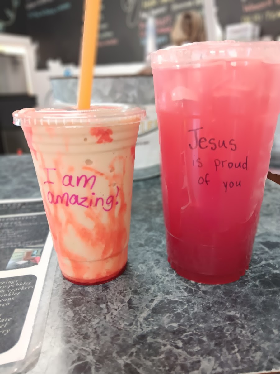 Sunshine Nutrition-shakes/smoothies/energy tea - 10