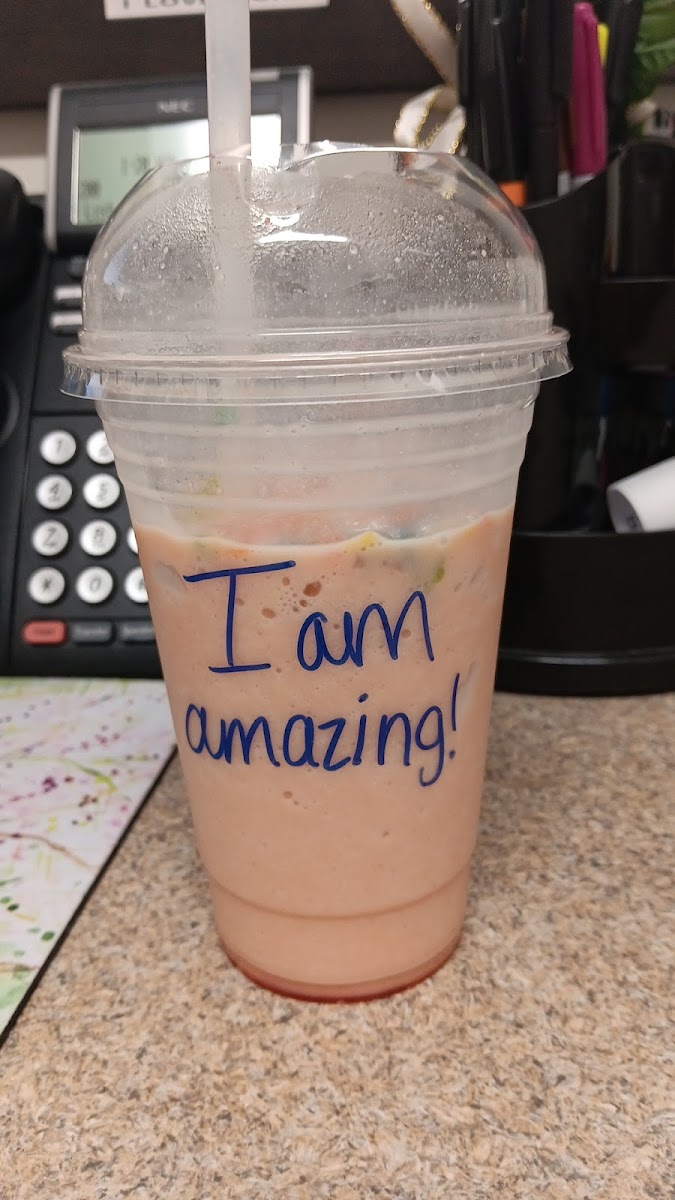 Sunshine Nutrition-shakes/smoothies/energy tea - 7