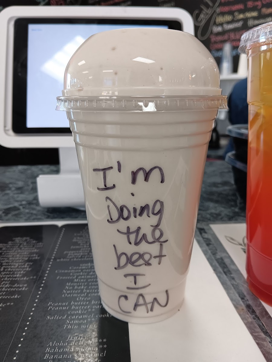 Sunshine Nutrition-shakes/smoothies/energy tea - 9