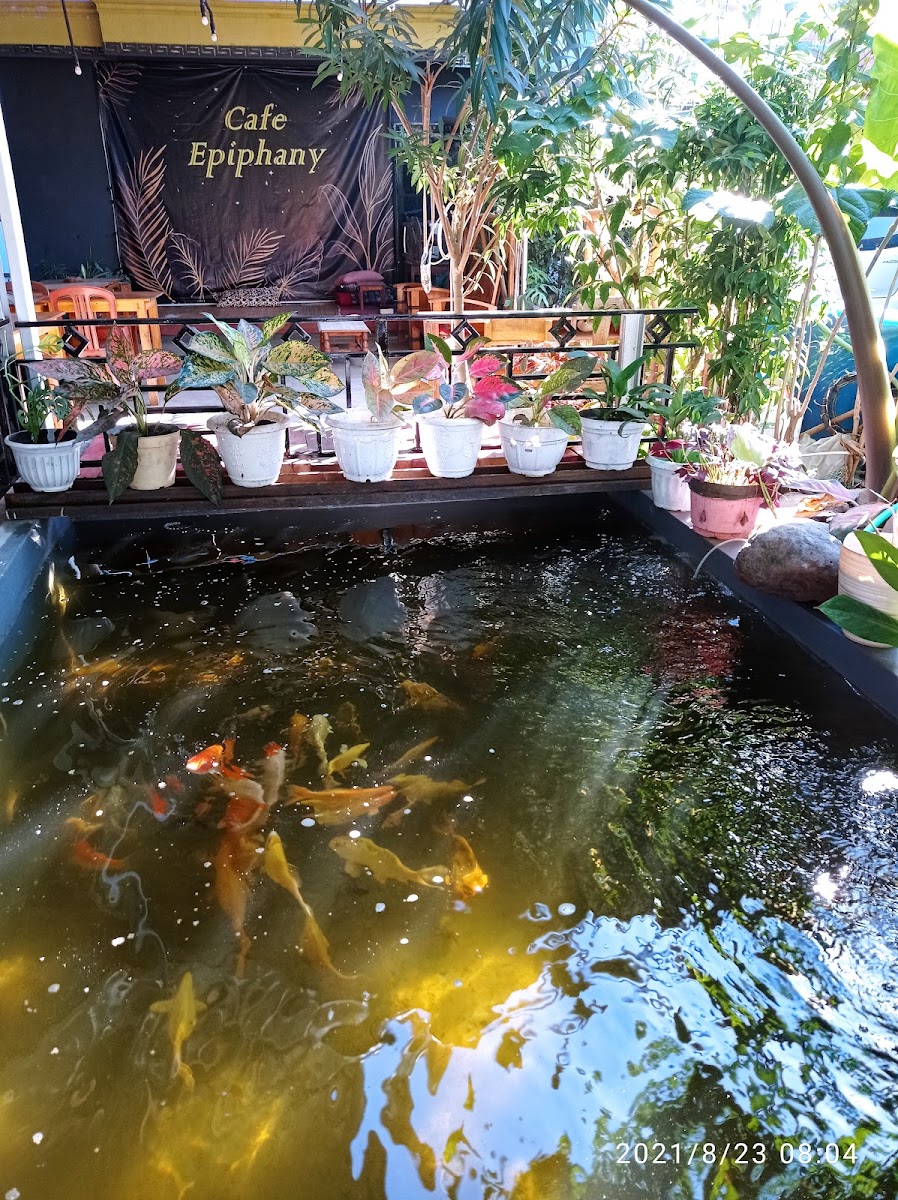 EPIPHANY Food & Drink - 2