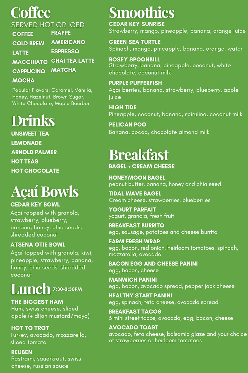 The Prickly Palm - 1