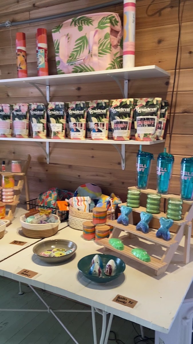 The Prickly Palm - 2