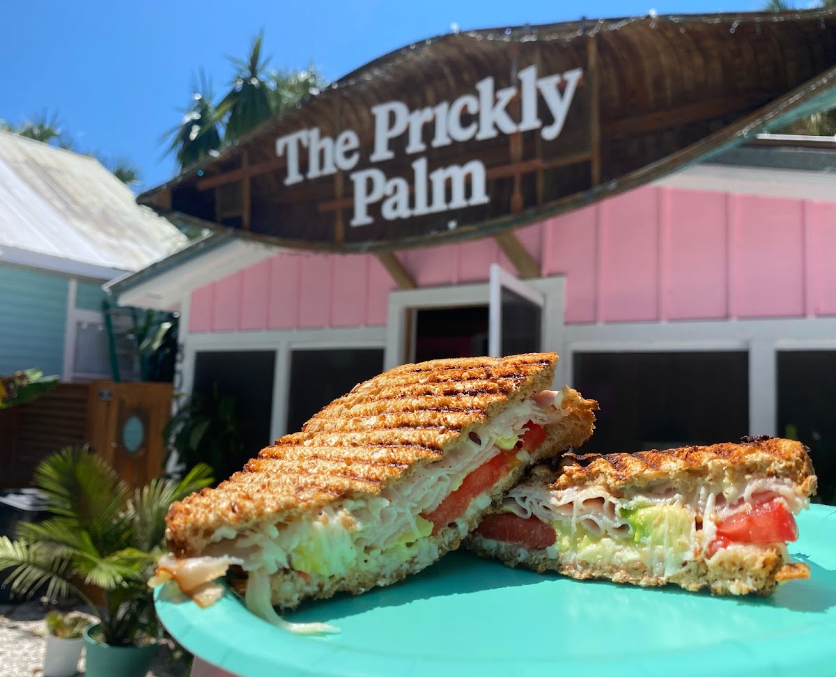 The Prickly Palm - 3