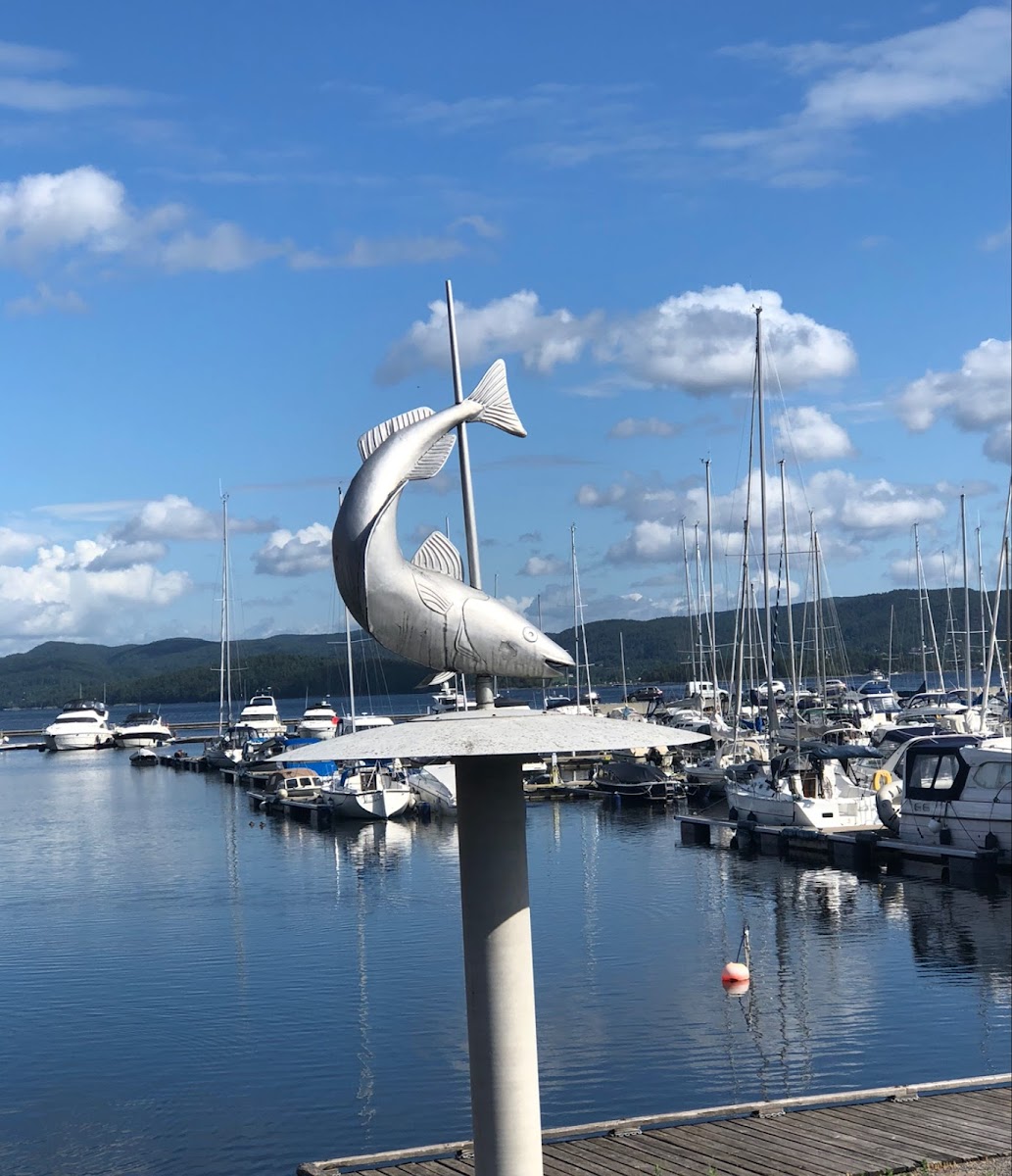 Holmestrand Båtforening - 3