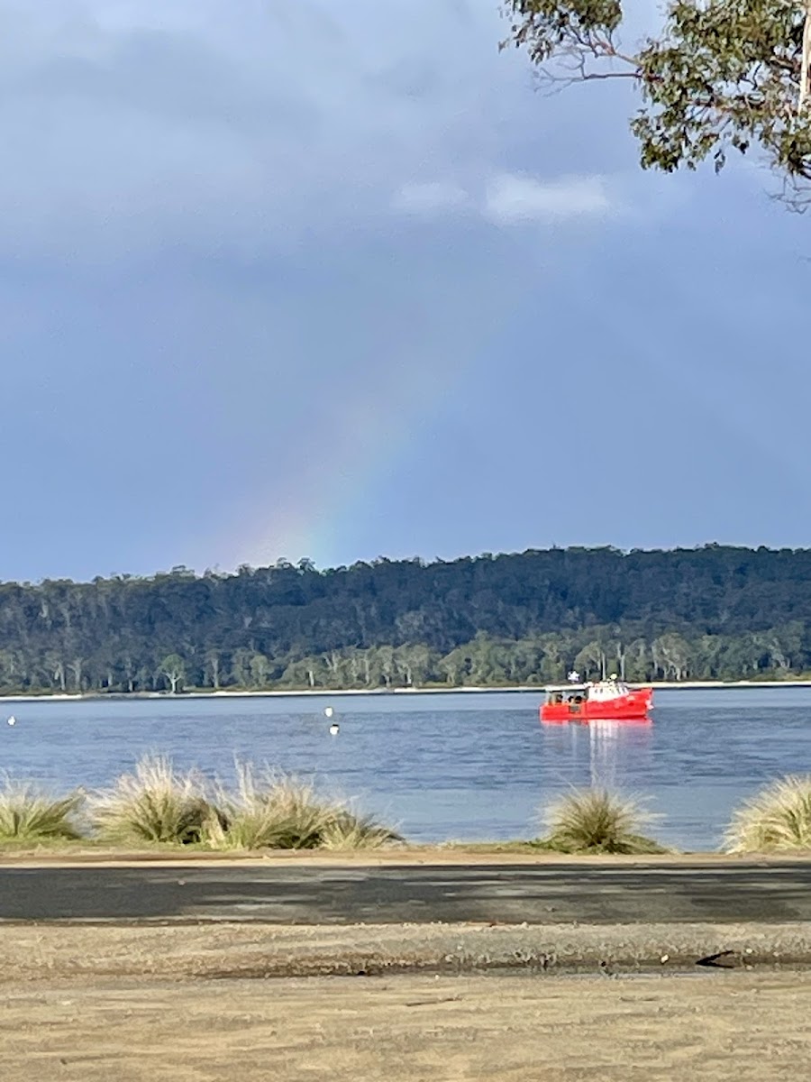 Rocket@the End of the Road - 4