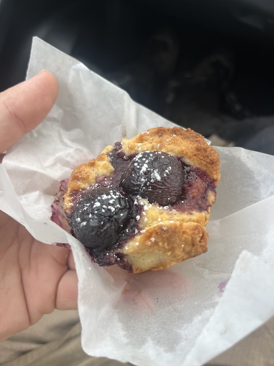 Rocket@the End of the Road - 5