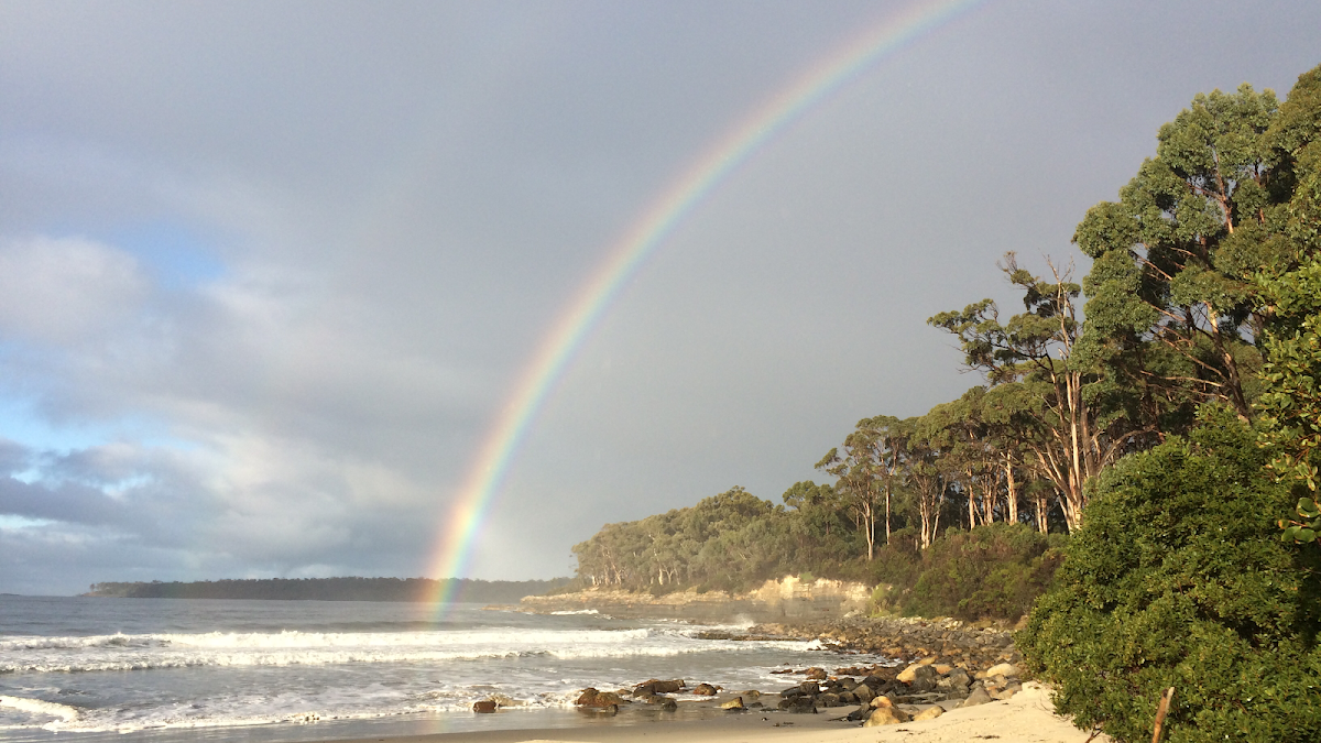 Rocket@the End of the Road - 7