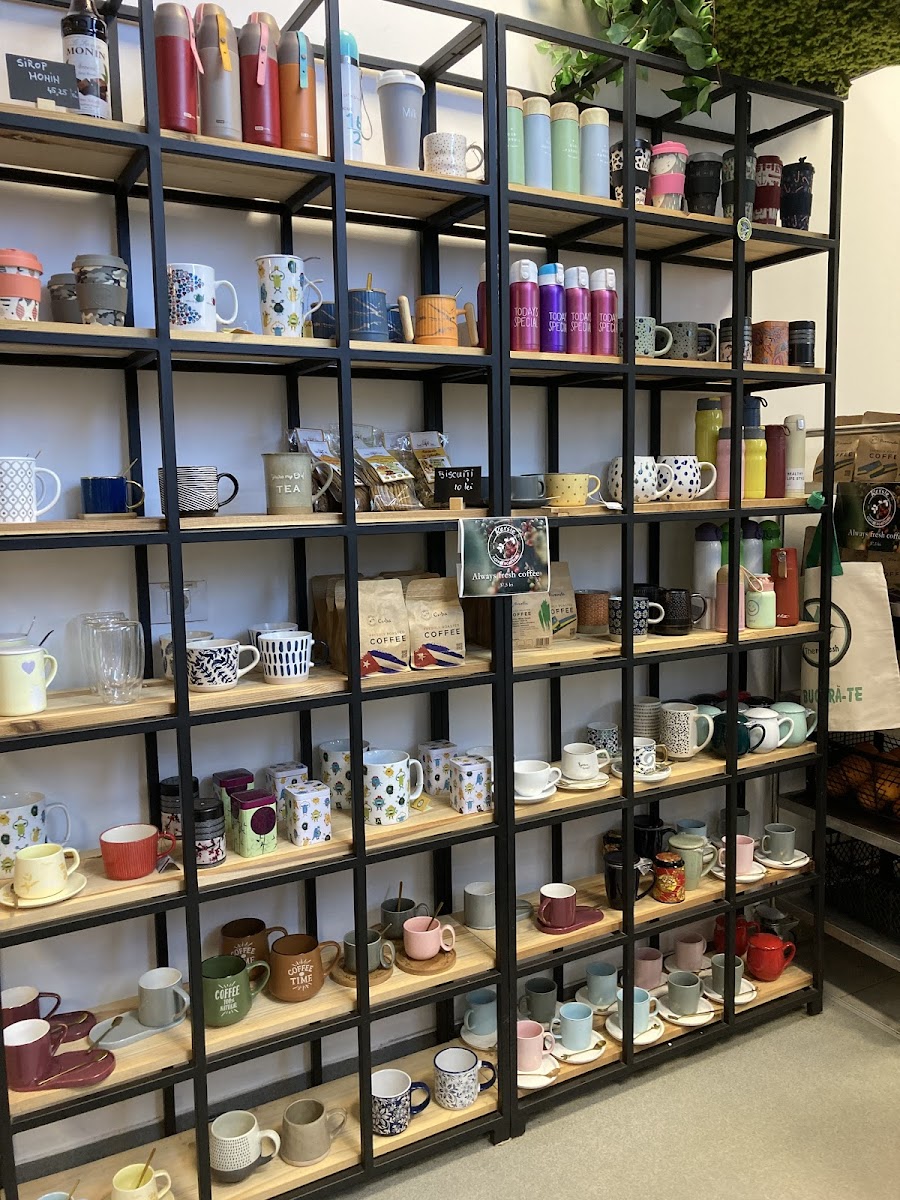 TheRefresh Timișoara