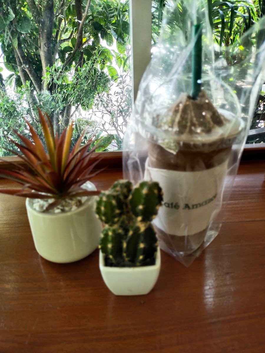 Café Amazon Banchang - 5