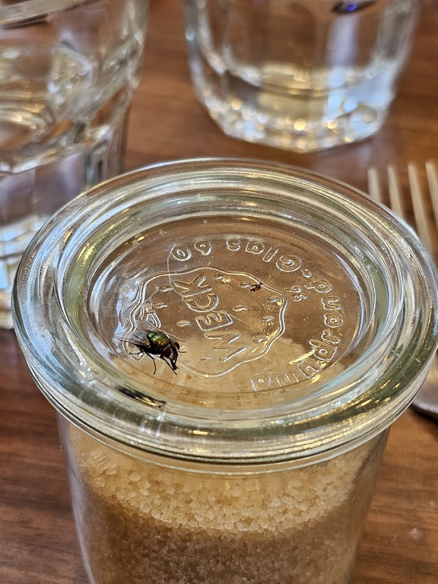 The French Lettuce - 10