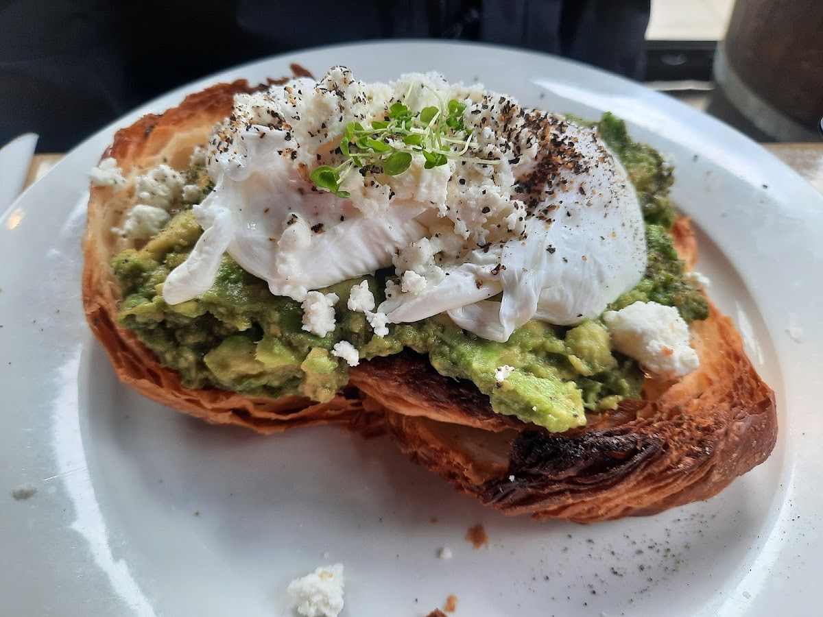 The French Lettuce - 3