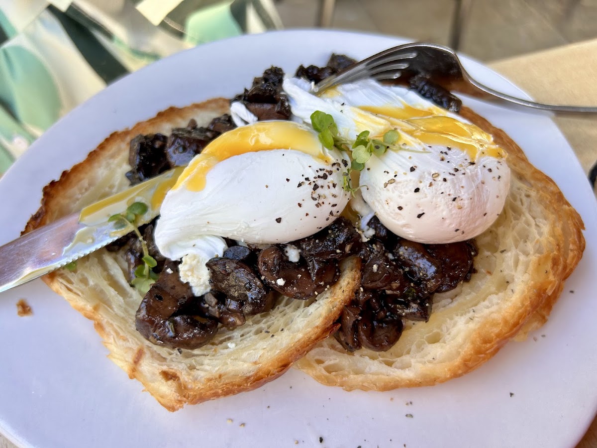 The French Lettuce - 4