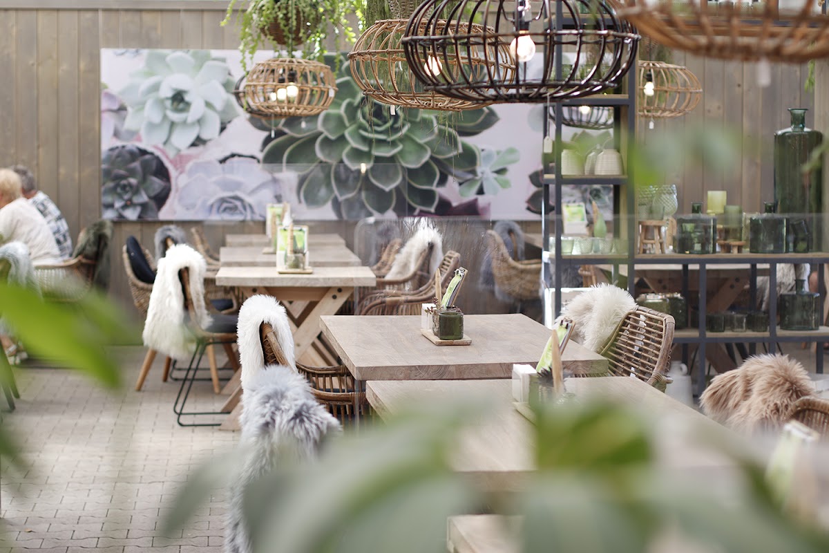 Blumen Risse Café Osnabrück