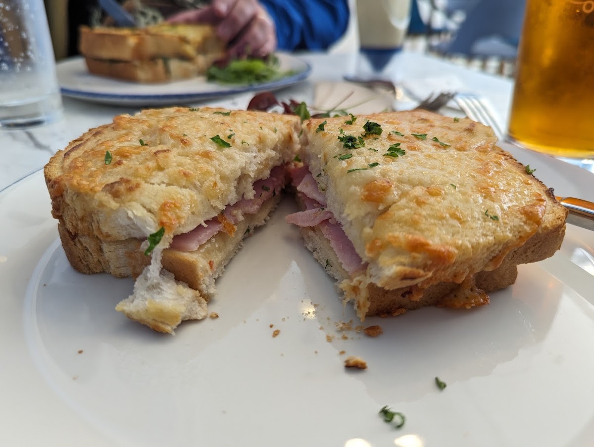 Taste Café at Dorset Museum - 4