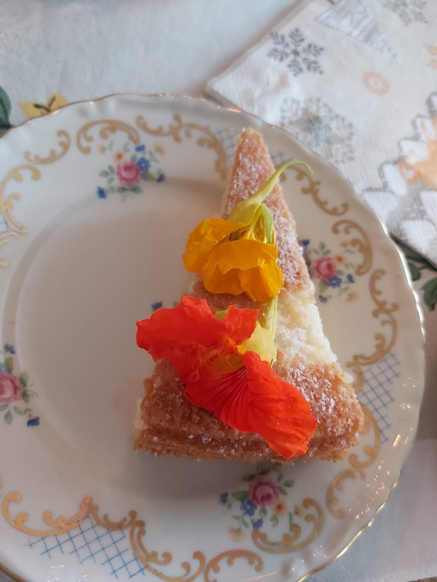 Grona Lund i Vireda - 7