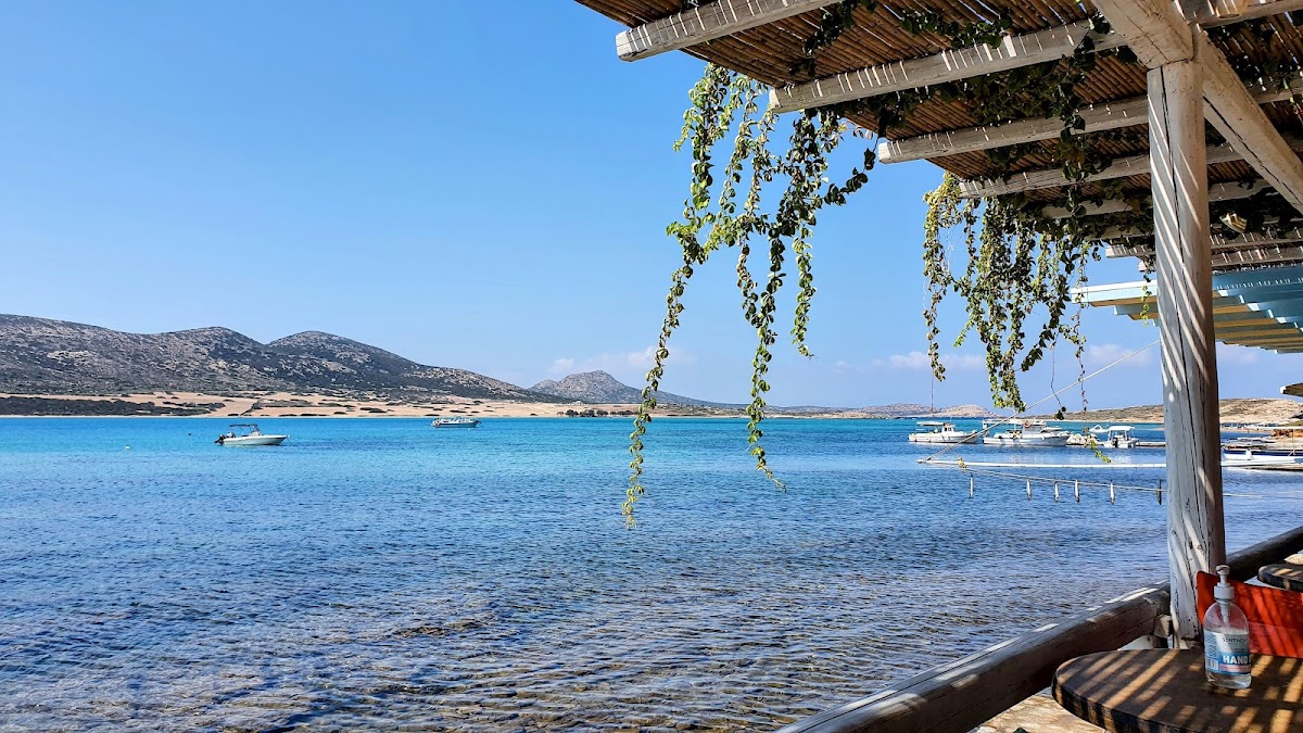 Despotiko Cafe - Bar - 3