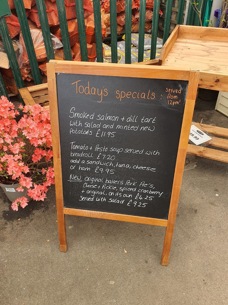 Olive Tree Coffee Shop - 4
