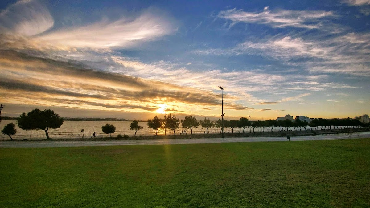 Cafe Teixeira (Sol Mar) - 2