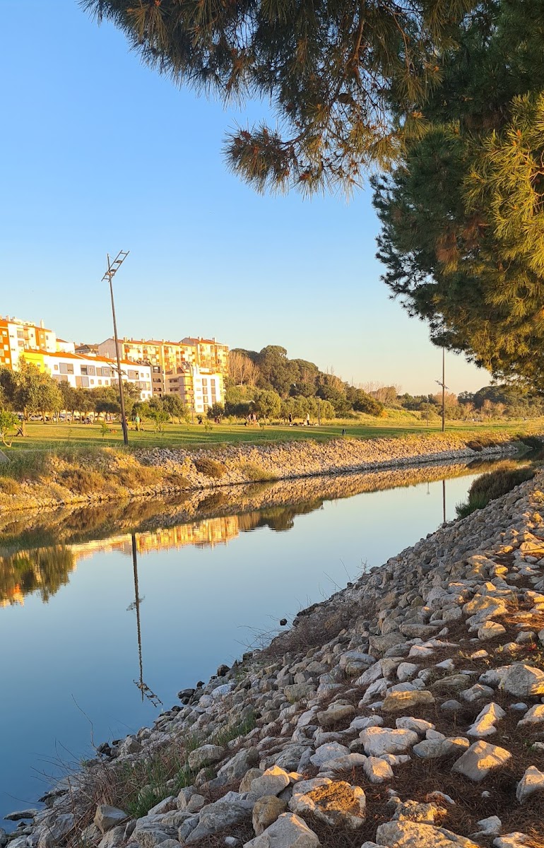 Cafe Teixeira (Sol Mar) - 3