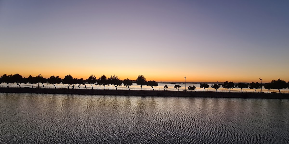 Cafe Teixeira (Sol Mar) - 4